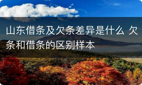山东借条及欠条差异是什么 欠条和借条的区别样本