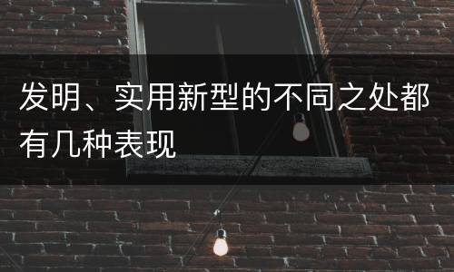 发明、实用新型的不同之处都有几种表现