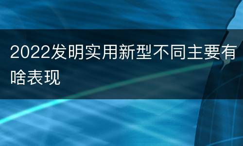 2022发明实用新型不同主要有啥表现