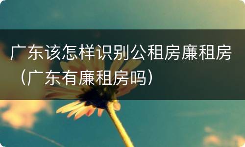 广东该怎样识别公租房廉租房（广东有廉租房吗）