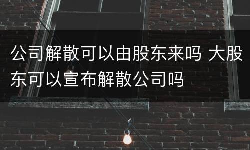 公司解散可以由股东来吗 大股东可以宣布解散公司吗
