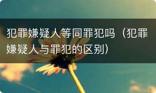 犯罪嫌疑人等同罪犯吗（犯罪嫌疑人与罪犯的区别）
