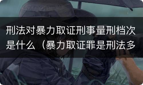刑法对暴力取证刑事量刑档次是什么（暴力取证罪是刑法多少条）