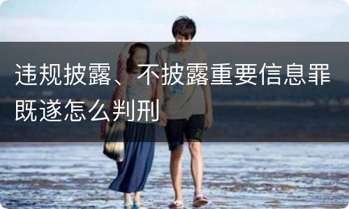 违规披露、不披露重要信息罪既遂怎么判刑