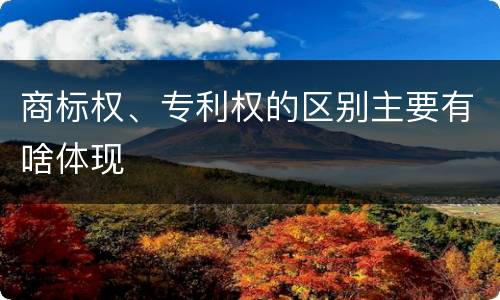 商标权、专利权的区别主要有啥体现