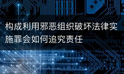 构成利用邪恶组织破坏法律实施罪会如何追究责任