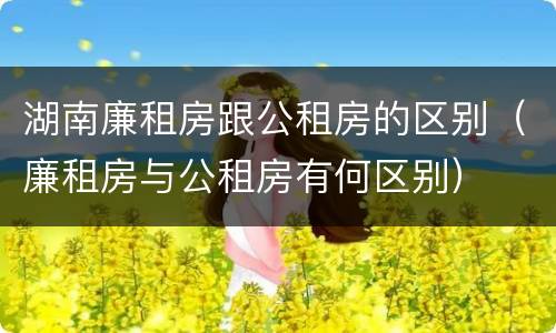 湖南廉租房跟公租房的区别（廉租房与公租房有何区别）