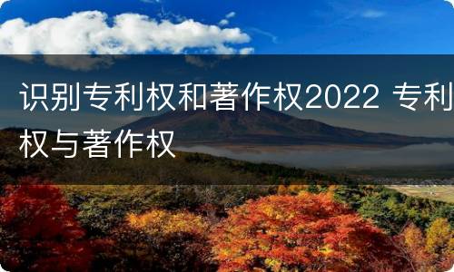 识别专利权和著作权2022 专利权与著作权