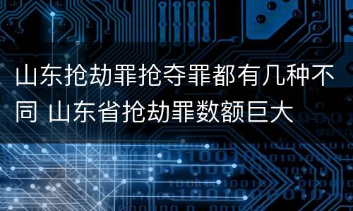 山东抢劫罪抢夺罪都有几种不同 山东省抢劫罪数额巨大