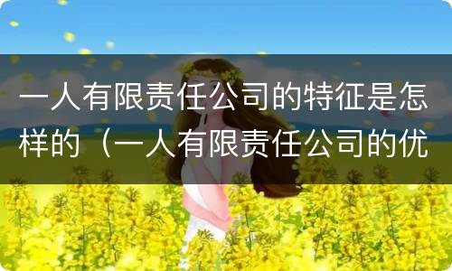 一人有限责任公司的特征是怎样的（一人有限责任公司的优点）