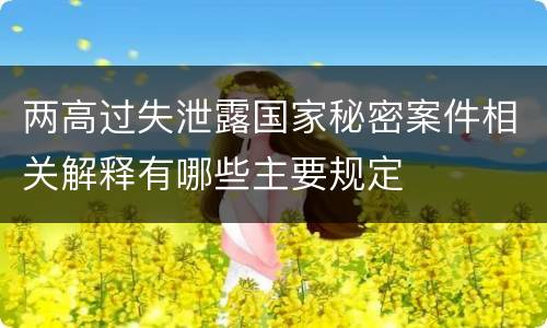两高过失泄露国家秘密案件相关解释有哪些主要规定