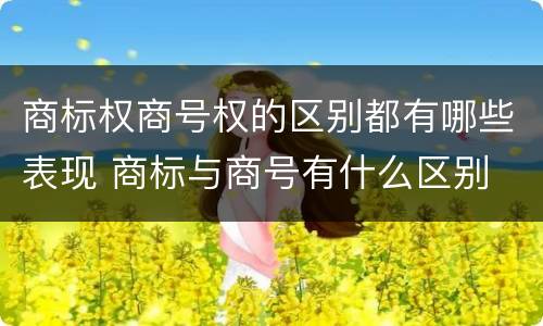 商标权商号权的区别都有哪些表现 商标与商号有什么区别