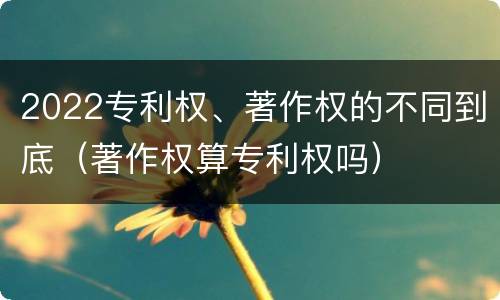 2022专利权、著作权的不同到底（著作权算专利权吗）