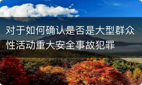 对于如何确认是否是大型群众性活动重大安全事故犯罪