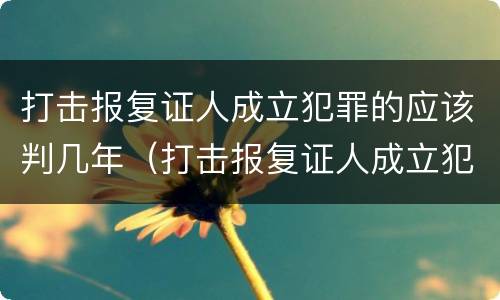 打击报复证人成立犯罪的应该判几年（打击报复证人成立犯罪的应该判几年缓刑）