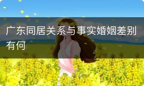 广东同居关系与事实婚姻差别有何