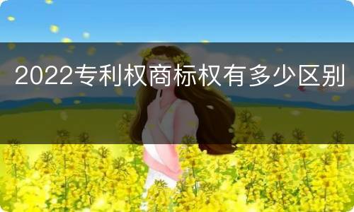 2022专利权商标权有多少区别