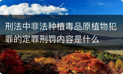 刑法中非法种植毒品原植物犯罪的定罪刑罚内容是什么