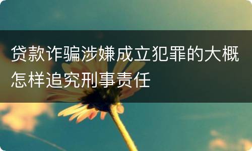 贷款诈骗涉嫌成立犯罪的大概怎样追究刑事责任