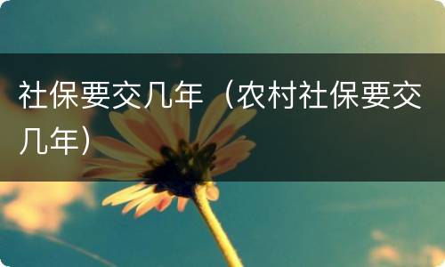 社保要交几年（农村社保要交几年）