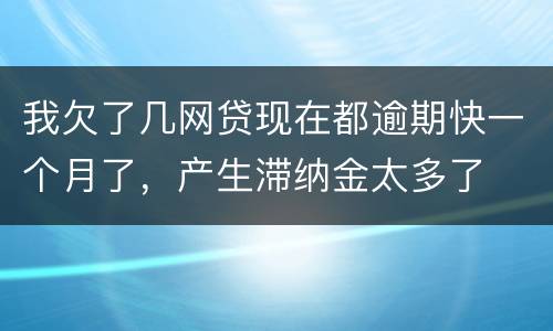 我欠了几网贷现在都逾期快一个月了，产生滞纳金太多了