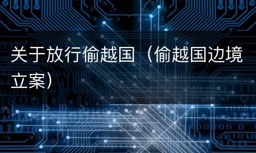 关于放行偷越国（偷越国边境立案）