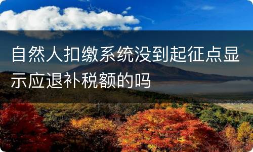 自然人扣缴系统没到起征点显示应退补税额的吗