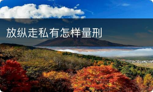 放纵走私有怎样量刑