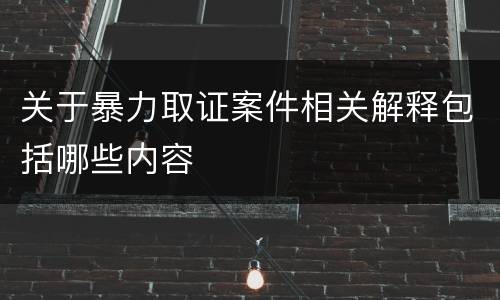 关于暴力取证案件相关解释包括哪些内容