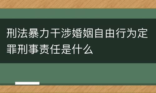刑法暴力干涉婚姻自由行为定罪刑事责任是什么