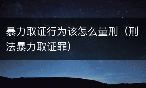 暴力取证行为该怎么量刑（刑法暴力取证罪）