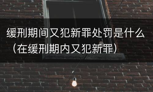 缓刑期间又犯新罪处罚是什么（在缓刑期内又犯新罪）