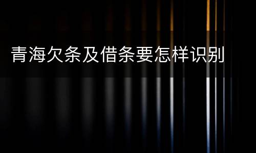 青海欠条及借条要怎样识别