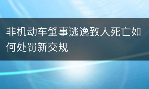 非机动车肇事逃逸致人死亡如何处罚新交规