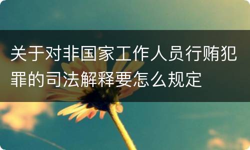 关于对非国家工作人员行贿犯罪的司法解释要怎么规定