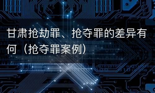 甘肃抢劫罪、抢夺罪的差异有何（抢夺罪案例）