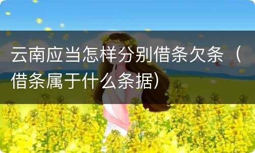 云南应当怎样分别借条欠条（借条属于什么条据）