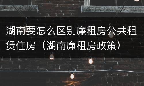 湖南要怎么区别廉租房公共租赁住房（湖南廉租房政策）