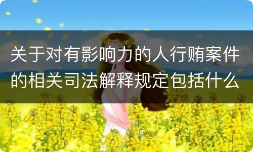 关于对有影响力的人行贿案件的相关司法解释规定包括什么内容