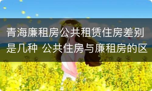 青海廉租房公共租赁住房差别是几种 公共住房与廉租房的区别