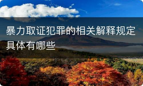 暴力取证犯罪的相关解释规定具体有哪些