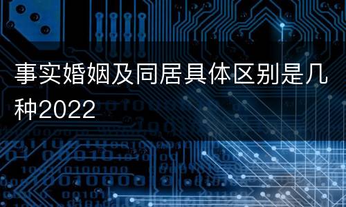 事实婚姻及同居具体区别是几种2022