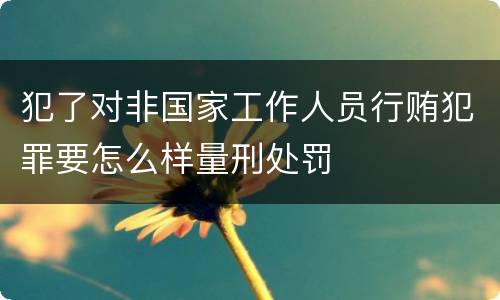 犯了对非国家工作人员行贿犯罪要怎么样量刑处罚