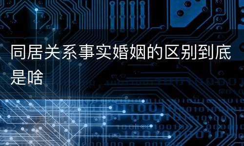 同居关系事实婚姻的区别到底是啥