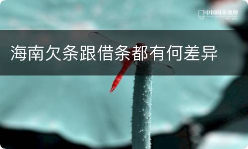 海南欠条跟借条都有何差异