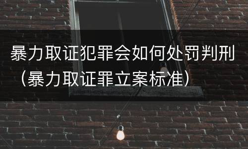 暴力取证犯罪会如何处罚判刑（暴力取证罪立案标准）