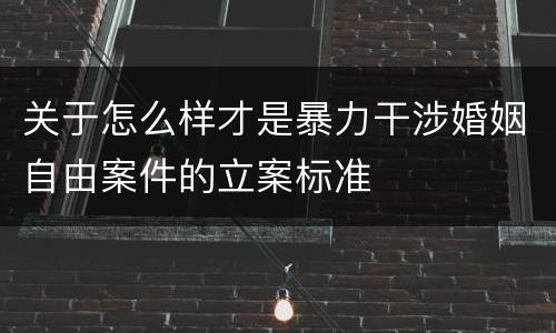 关于怎么样才是暴力干涉婚姻自由案件的立案标准