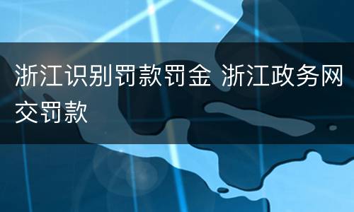 浙江识别罚款罚金 浙江政务网交罚款