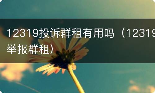 12319投诉群租有用吗（12319举报群租）