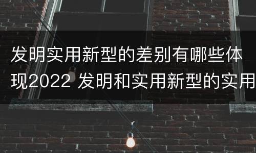 发明实用新型的差别有哪些体现2022 发明和实用新型的实用性